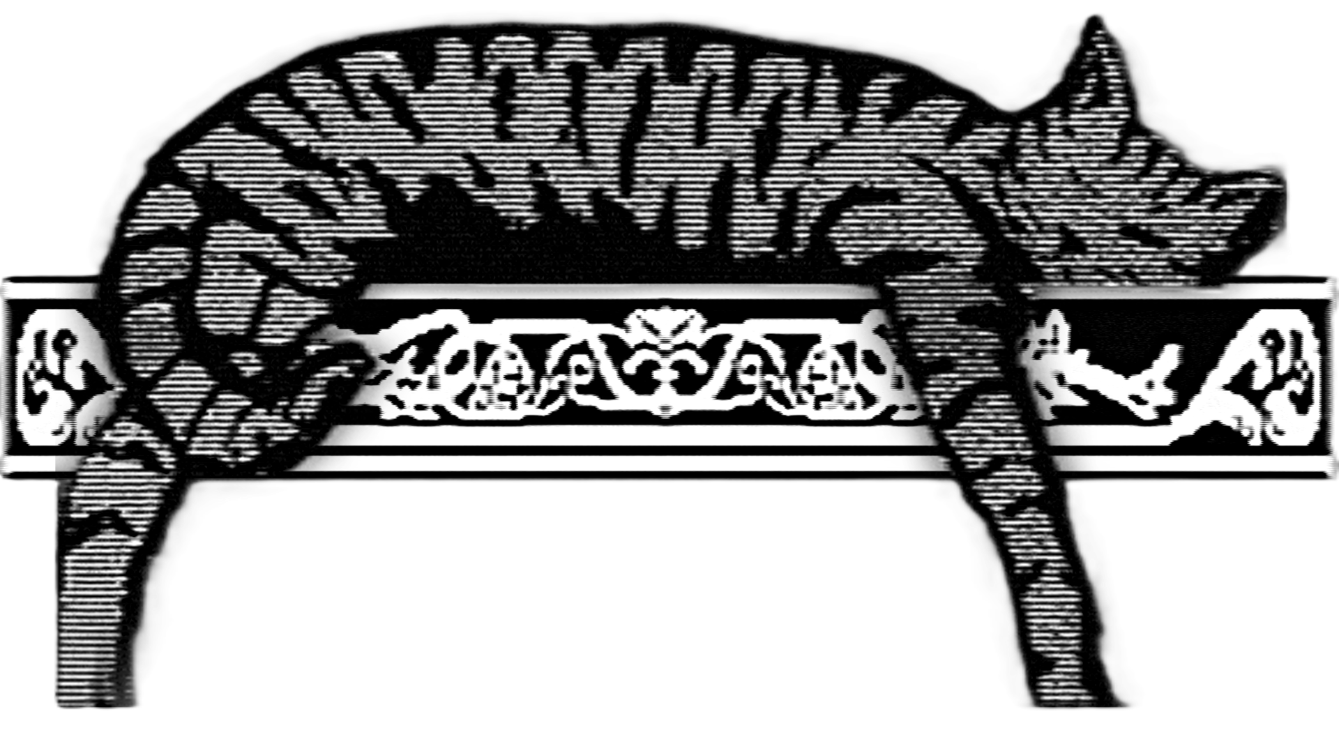 Cool Divider Goes Here